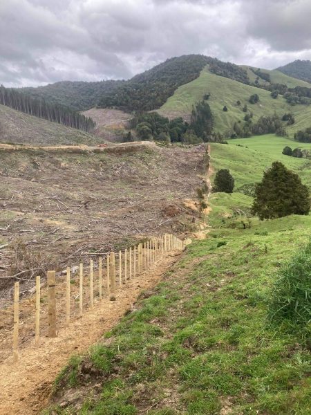 CPC Fencing - Forestry boundary fence