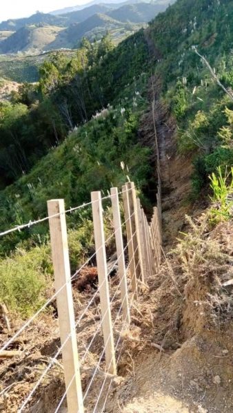 CPC Fencing - Forestry fence