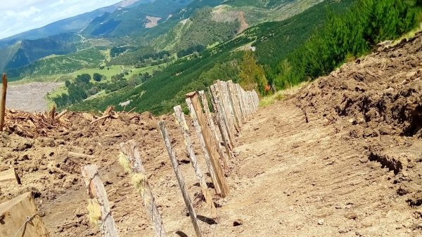 CPC Fencing - Forestry boundary fence