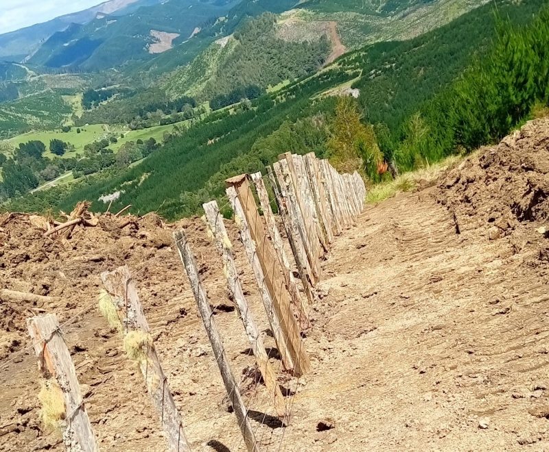 CPC Fencing - Forestry boundary fence