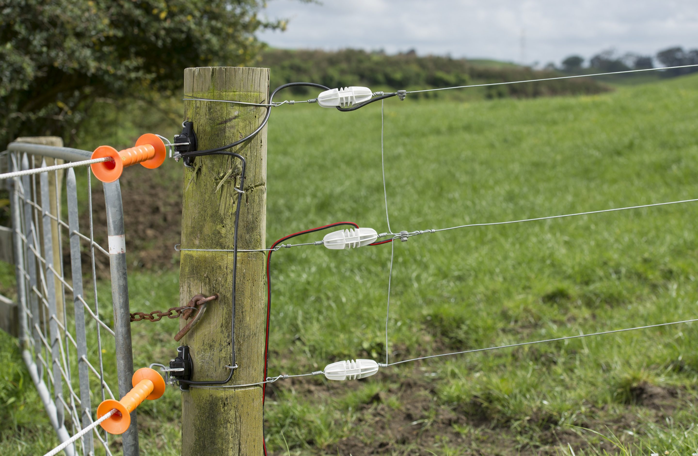 Gallagher puts strain into fence systems - FCANZ - Fencing Contractors  Association NZ