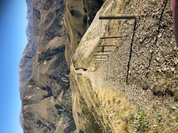 High Country Fencing - view down a fenceline