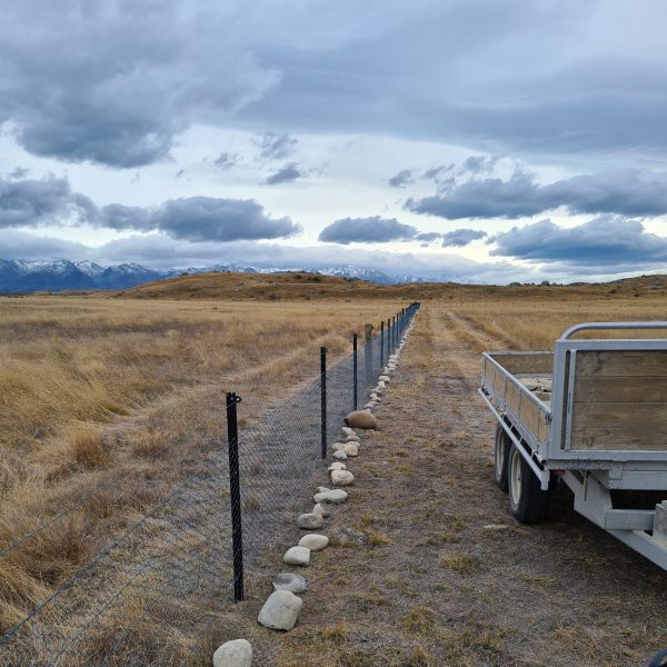 Monk Fencing - Simons Pass rabbit netting fence