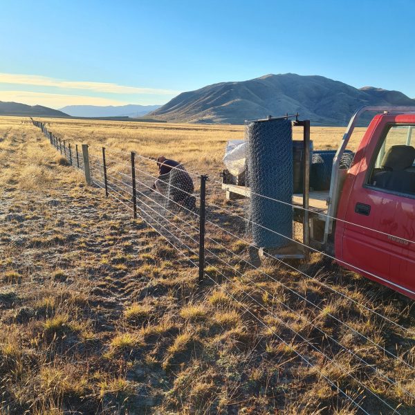 Monk Fencing - Simons Pass rabbit netting fence