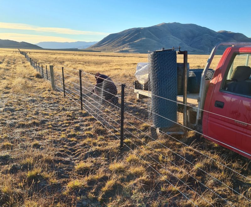 Monk Fencing - Simons Pass rabbit netting fence